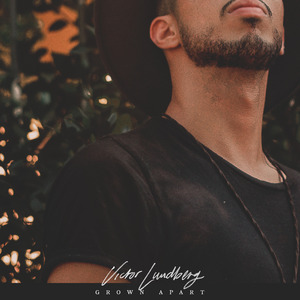 苍井空一级婬片A片AAA片动漫
