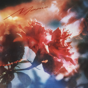 苍井空一级婬片A片AAA片动漫
