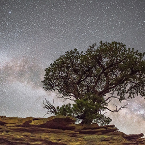 苍井空一级婬片A片AAA片动漫
