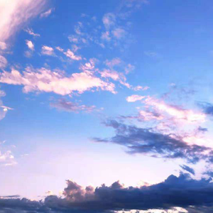 苍井空一级婬片A片AAA片动漫
